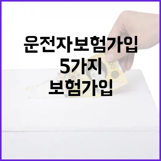 운전자보험 가입 전 꼭 보는 5가지 숫자 기준 - 요약