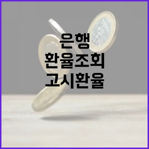 환율조회 제대로 하는 방법: 은행 고시환율부터 우대율까지 확인하려면 이렇게 - 요약