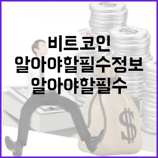 비트코인에 대해 알아야 할 필수 정보 - 요약