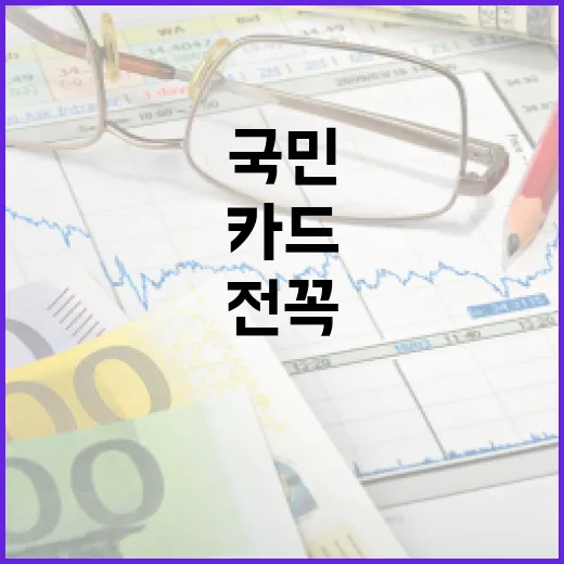 국민카드 쓰기 전 꼭 볼 5가지 숫자 - 요약