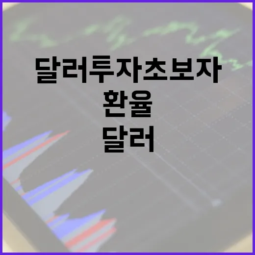 달러 투자 초보자가 환율을 보고 매수 타이밍 잡는 방법 - 요약