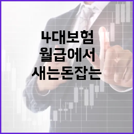 4대보험 월급에서 새는 돈 잡는 5가지 계산 포인트 - 요약