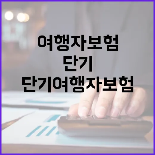 단기여행자보험 고를 때 손해 줄이는 5가지 기준 - 요약