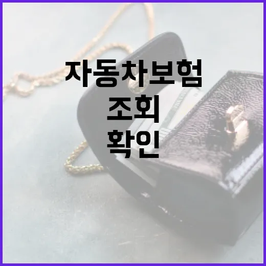 자동차보험조회 전 꼭 확인할 5가지 숫자 기준 - 요약