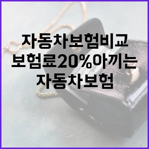 자동차보험비교할 때 보험료 20% 아끼는 5가지 기준 - 요약