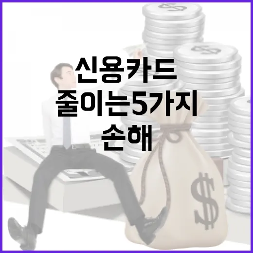 신용카드 쓸 때 손해 줄이는 5가지 기준 - 요약