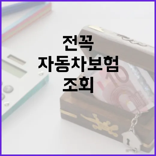 자동차보험조회 전 꼭 확인할 5가지 숫자 - 요약