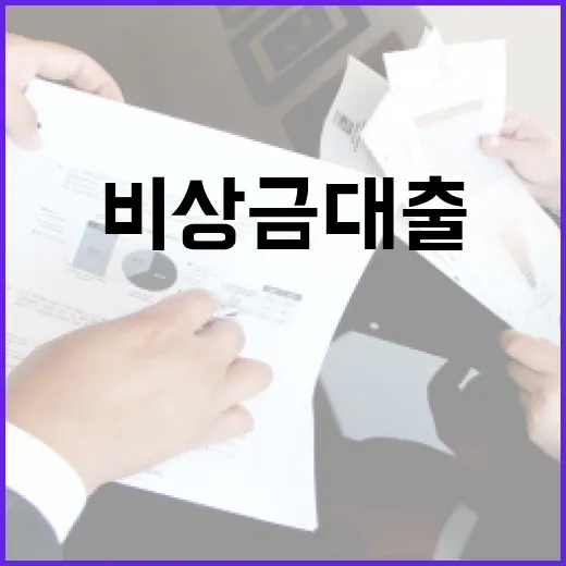 비상금대출 받기 전 꼭 계산할 5가지 숫자 - 요약