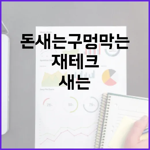 재테크 초보가 1년 안에 돈 새는 구멍 막는 5단계 - 요약