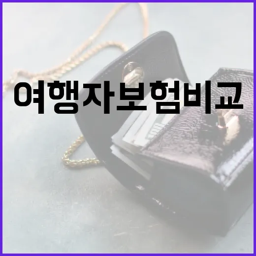 여행자보험비교 전 꼭 보는 5가지 숫자 - 요약