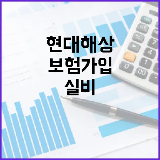 현대해상실비보험 가입 전 확인할 5가지 숫자 - 요약