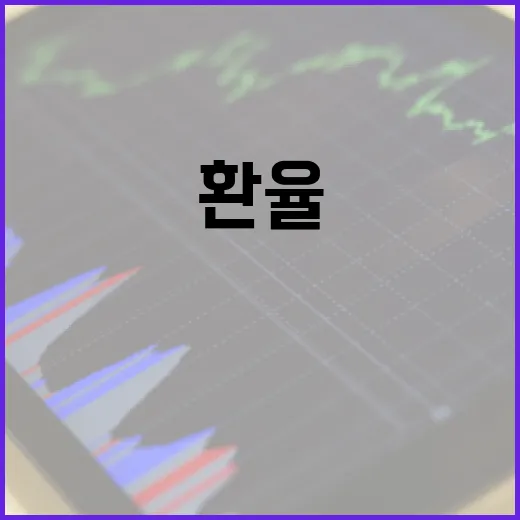 환율 때문에 돈 새는 사람들의 5가지 체크포인트 - 요약