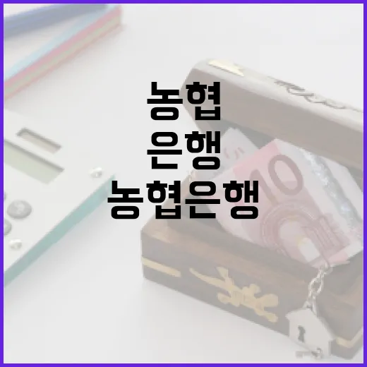 농협은행 이용 전 확인할 5가지 숫자 - 요약