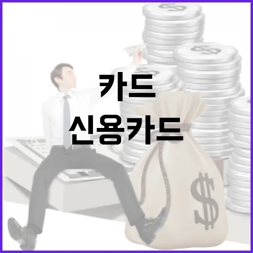 신용카드로 손해 안 보는 5가지 기준 - 요약