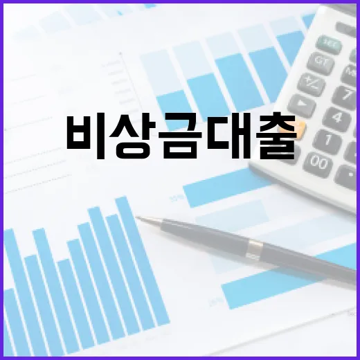 비상금대출 받기 전 꼭 계산할 5가지 숫자 - 요약