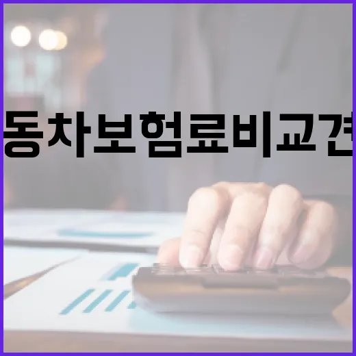 자동차보험료비교견적사이트 쓰기 전 확인할 5가지 숫자 - 요약