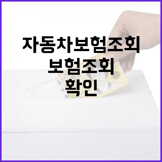 자동차보험조회 전 꼭 확인할 5가지 숫자 기준 - 요약