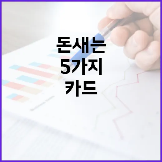 국민카드홈페이지에서 돈 새는 걸 막는 5가지 확인 순서 - 요약