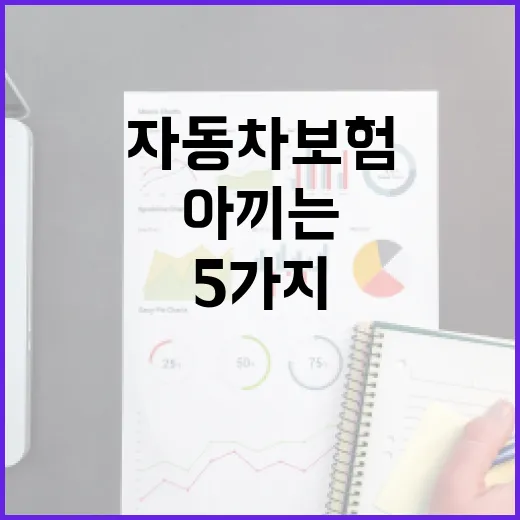 자동차보험비교할 때 보험료 20만 원 아끼는 5가지 기준 - 요약