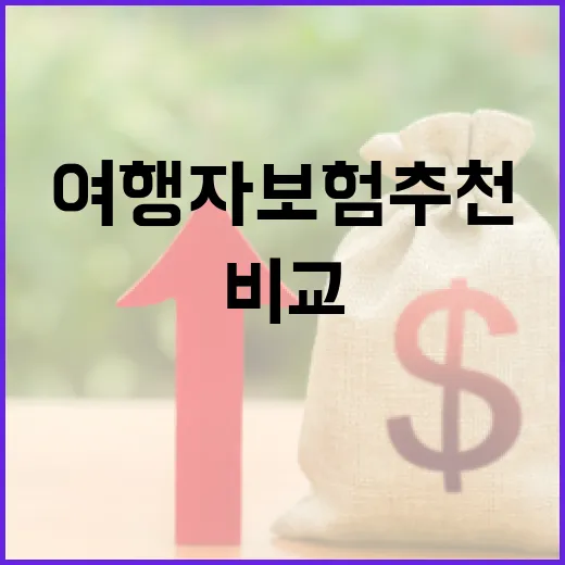여행자보험추천 전 꼭 비교할 5가지 숫자 - 요약