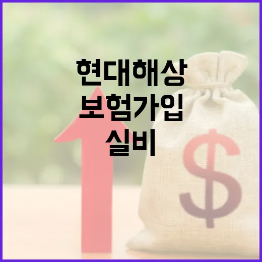 현대해상실비보험 가입 전 확인할 5가지 숫자 - 요약