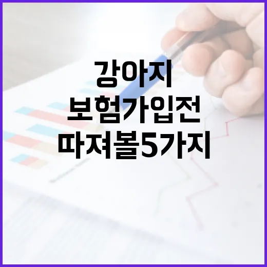 강아지보험 가입 전 따져볼 5가지 숫자 - 요약