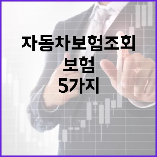 자동차보험조회 전에 꼭 확인할 5가지 숫자 - 요약