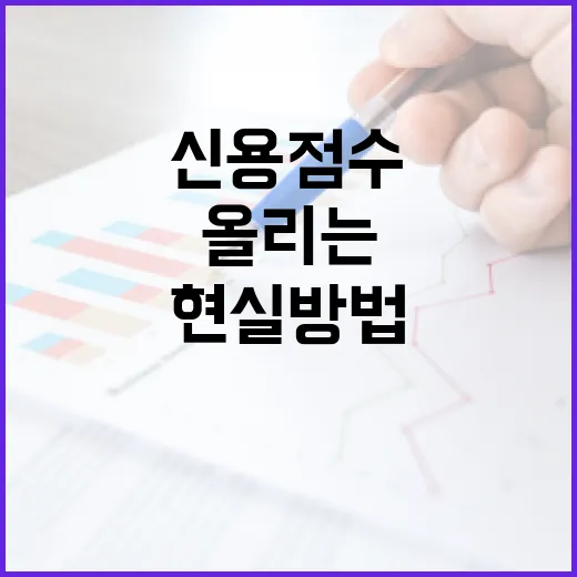 신용점수 올리는 7가지 현실 방법, 은행 PB가 보는 기준 - 요약