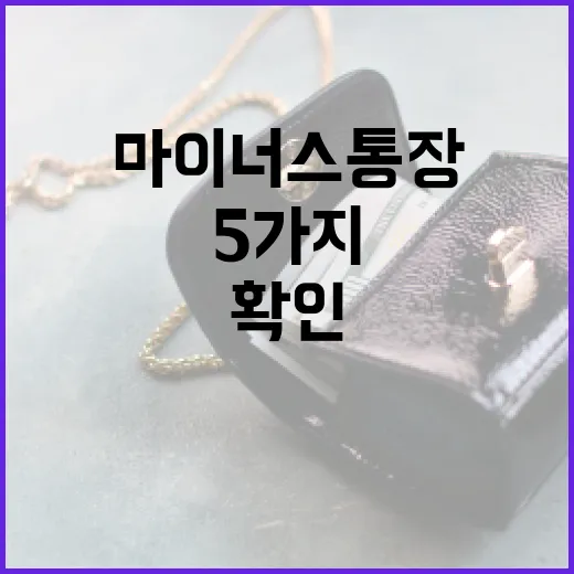 마이너스통장 쓰기 전 확인할 5가지 숫자 - 요약