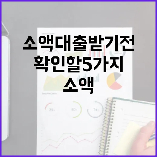 소액대출 받기 전 확인할 5가지 숫자 - 요약