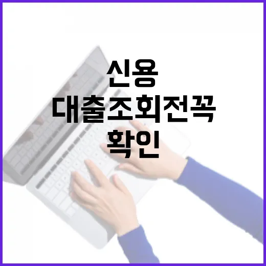 대출조회 전 꼭 확인할 5가지, 신용점수보다 중요한 숫자들 - 요약