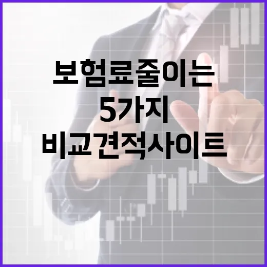 자동차보험비교견적사이트에서 보험료 줄이는 5가지 기준 - 요약