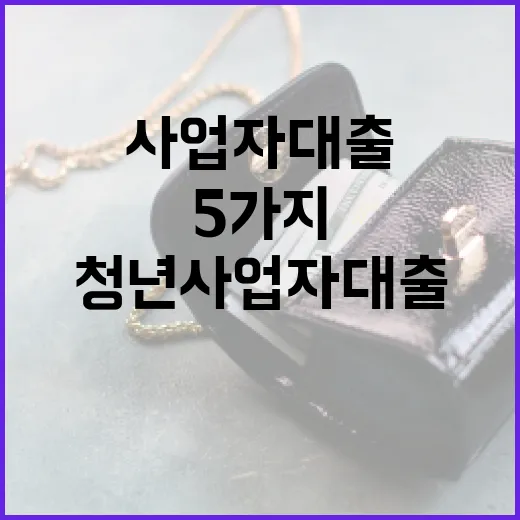 청년사업자대출 고르기 전 확인할 5가지 숫자 - 요약