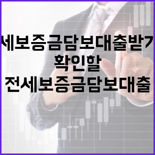 전세보증금담보대출 받기 전 확인할 5가지 숫자 - 요약