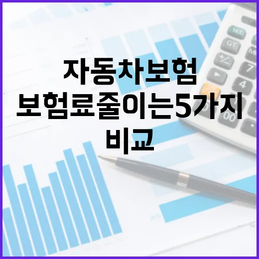 자동차보험비교사이트에서 보험료 줄이는 5가지 확인법 - 요약