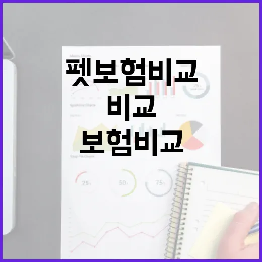 펫보험비교 전 꼭 보는 5가지 숫자: 월 보험료보다 중요한 기준 - 요약
