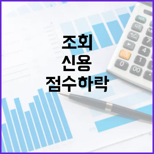신용조회 전 꼭 확인할 5가지: 점수 하락보다 더 중요한 것들 - 요약