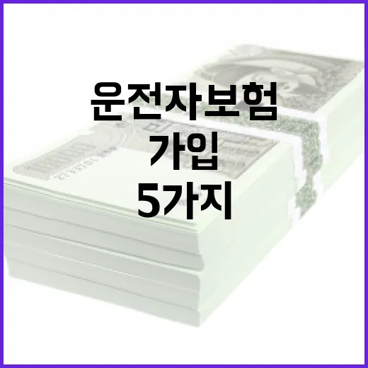 운전자보험 보장내용 5가지, 월 1만원대 가입 전 꼭 볼 기준 - 요약