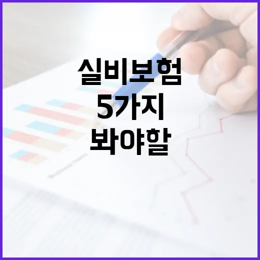 실비보험순위보다 먼저 봐야 할 5가지 기준 - 요약
