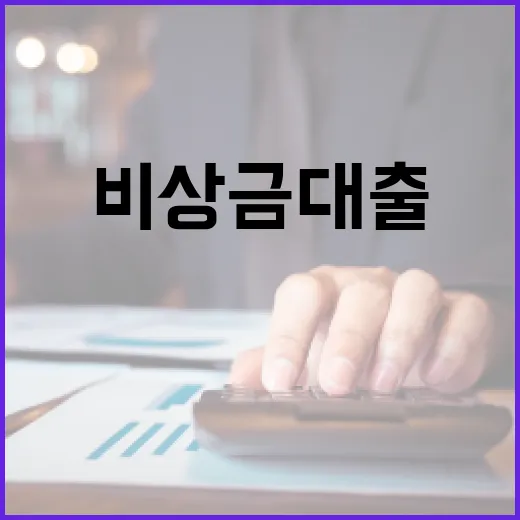 비상금대출 받기 전 꼭 계산할 5가지 숫자 - 요약