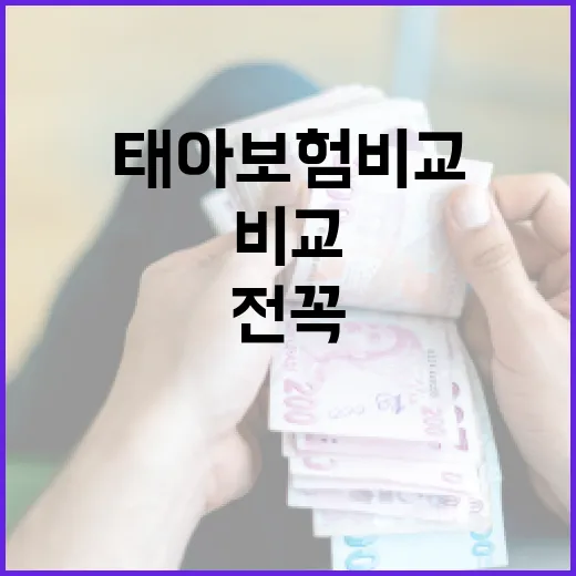 태아보험비교 전 꼭 보는 5가지 숫자 기준 - 요약
