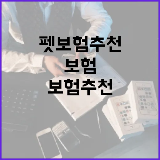 펫보험추천 전 확인할 5가지 숫자, 월 3만원이 싸지 않을 수 있습니다 - 요약