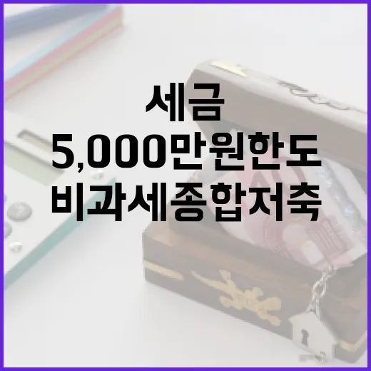 비과세종합저축 5가지 체크포인트: 5,000만원 한도에서 세금 줄이는 법 - 요약
