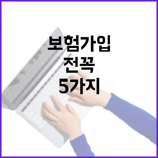 제주도여행자보험 가입 전 꼭 보는 5가지 숫자 - 요약