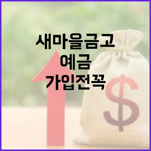 새마을금고예금 가입 전 꼭 볼 5가지 숫자 기준 - 요약
