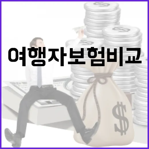 여행자보험비교 전 꼭 보는 5가지 숫자 기준 - 요약