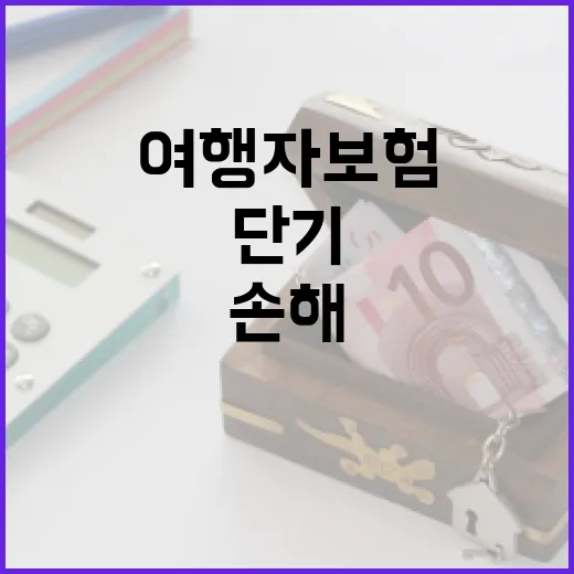 단기여행자보험 고를 때 놓치면 손해 보는 5가지 기준 - 요약