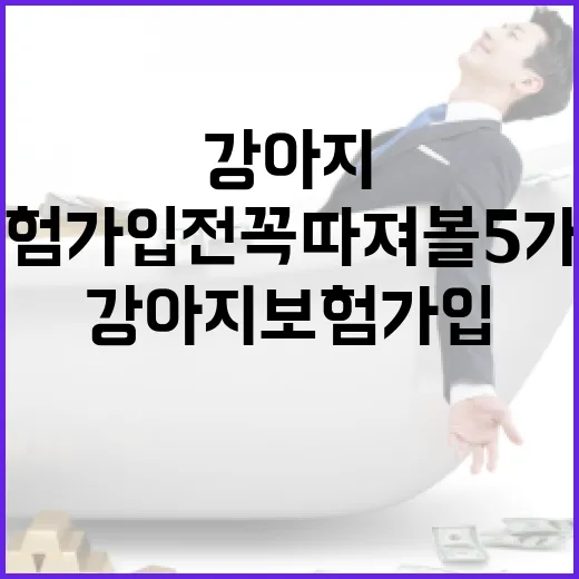 강아지보험 가입 전 꼭 따져볼 5가지 숫자 - 요약