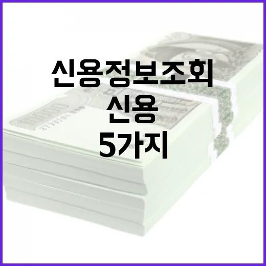 신용정보조회 전 꼭 확인할 5가지 숫자와 실수 - 요약