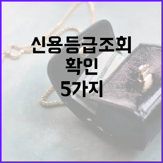 신용등급조회 전에 꼭 확인할 5가지 숫자 기준 - 요약
